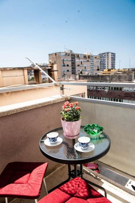 Pearl Of Sibenik Apartment Ngoại thất bức ảnh